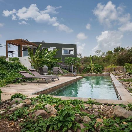T2 Moderne Avec Piscine Oasis De Nature Et Serenite Petit-Canal Eksteriør billede