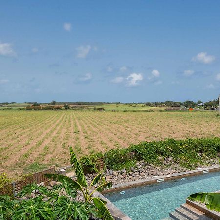 T2 Moderne Avec Piscine Oasis De Nature Et Serenite Petit-Canal Eksteriør billede