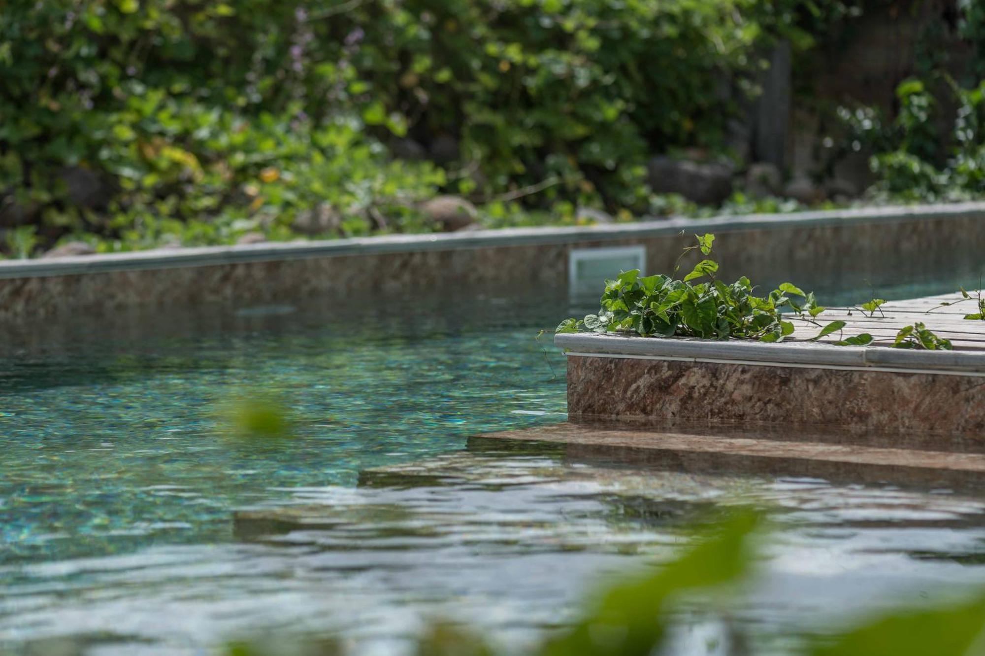 T2 Moderne Avec Piscine Oasis De Nature Et Serenite Petit-Canal Eksteriør billede